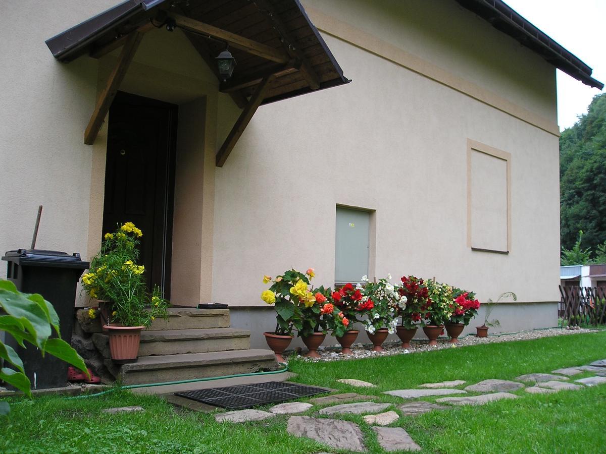 Apartman Svoboda Svoboda nad Úpou Buitenkant foto